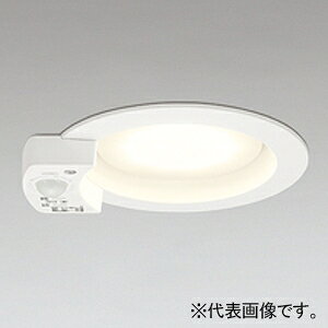 �I�[�f���b�N LED�_�E�����C�g R15 �N���X2 ���C��SB�` ���M�����60W�N���X �l���Z���T�[�t OD361413LR