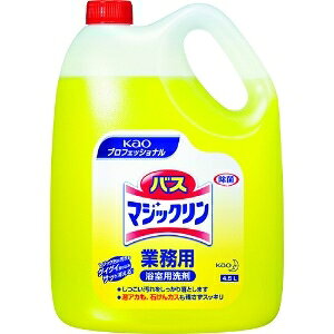 ԉyP[X 4ZbgzoX}WbN Ɩp 4.5L 4901301021205_set