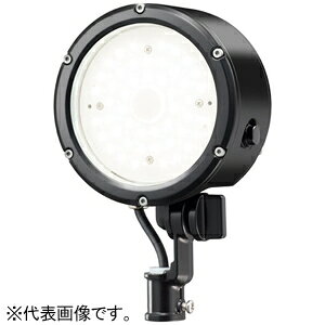 dC LED LEDioc FLOOD LUNT OEp 33W^Cv E30015W/LSAN9/BK