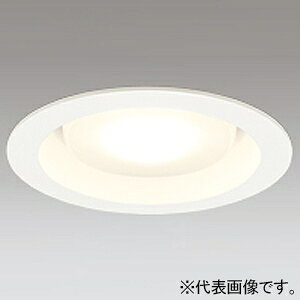 �I�[�f���b�N LED�_�E�����C�g ���V���ԗp ���C��SB�` �����FLED FHT24W���� LED�d���t���b�g�` OD361359NR