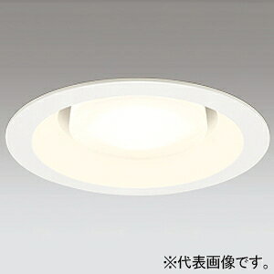 �I�[�f���b�N LED�_�E�����C�g ���V���ԗp ���C��SB�` �����FLED FHT24W���� LED�d���t���b�g�` OD361363NR