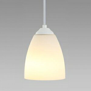 z^NX(NEC) LED^y_g dF ʓd50`×1 :E26 R[hA_v^t XC-LE26105L