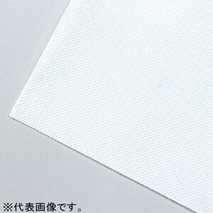 A[ebN ĝăV[c (2×1m) 10g  051164
