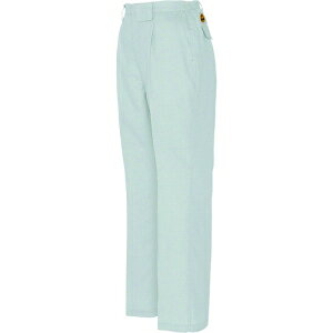 ACgX fB[XV[Opc(1^bN) Vo[O[ 4L AZ64130034L