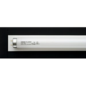 OSRAM(IX) OSRAM ǌu O[X^[^` 40W F G13 FL40SW