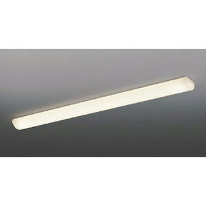 RCY~Ɩ LEĎ^Lb`Cg FHF32W×2 񒲌 dF S1247mm AH50458