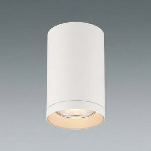 RCY~Ɩ LEĎ^V[O_ECg 2500lmNX HID50W zp60° F  dʔ XH92936