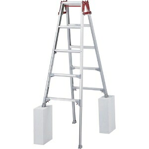 nZK rLkA~͂pr RYZL^ 4i(10200) RYZL-12