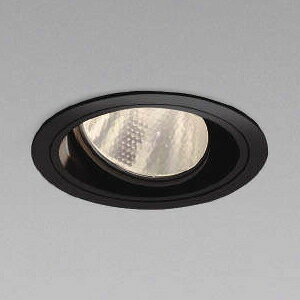 RCY~Ɩ LEDjo[T_ECg ^ 1500E2000lmNX 100mm zp30° F  dʔ XD103111BW