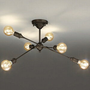 �I�[�f���b�N LED�V�����f���A �`4.5���p LED�d���t�B�������g�`�{�[���� 6�� ����E26 �d���F OC257050LC1