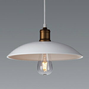 Ɩ LEDy_gCg tW^Cv M30W`×1 Ή E26 vʔ ERP7441WA