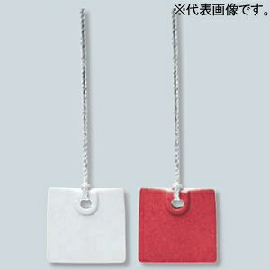 未来工業 線名札 ≪カラーエフ≫ プラスチック製 四角形 20×20mm ヒモ長さ120mm KF-4HR