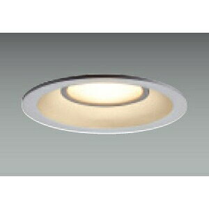 ���� LED�_�E�����C�g ���C��SB�`�E��` ���M�����100W�N���X ��������100mm �����^�C�v �d���F LEDD87003L(S)-LD