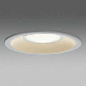 ���� LED�����p�_�E�����C�g ���C��SB�`�E��` ���M��60W�N���X ��������100mm �d���F �V���o�[ LEDD87040L(S)-LS