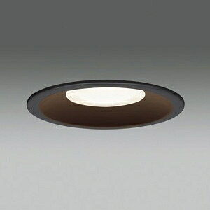 ���� LED�����p�_�E�����C�g ���C��SB�`�E��` ���M��100W�N���X ��������100mm �d���F �u���b�N LEDD87043L(K)-LS