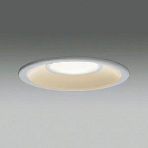  LEDp_ECg CSB`E` M100WNX 100mm dF Vo[ LEDD87043L(S)-LS