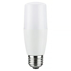  LEDd T` `d80W` zp300° F E26 LDT11N-G/S/80W/2