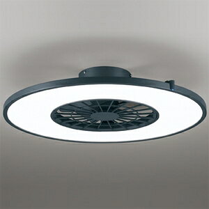 I[fbN LEDV[Ot@ FLAT FAN O3 ̈̌^ FLED OL291275BR