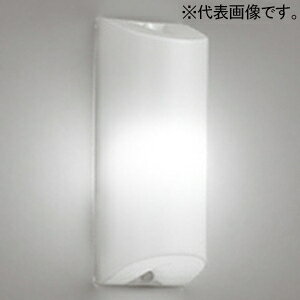 �I�[�f���b�N LED�u���P�b�g���C�g �����FLED FL20W���� LED�d����ʌ` ����E26 �����F OB255173NR