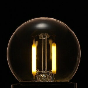 dޓ tBgLED 10W G40 {[` E26 NA LDG1LG40C2DNZ