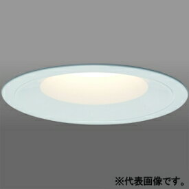 日立 LEDダウンライト 高出力形 LED光源一体形 初期照度補正・連続調光兼用形 FHT42形×3灯相当 広角 LDE54AMW-JX14A
