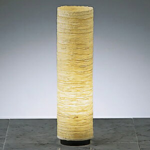 Ɩ LEDaX^hCg tXgNvg25W`×1 Ή E17 vʔ R[hEԃXCb`t ERF2004NB