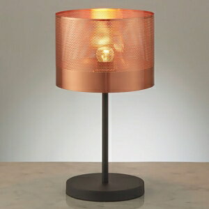 Ɩ LEDX^hCg 50{[25W`×1 񒲌 E17 vʔ R[hEԃXCb`t ERF2078DA