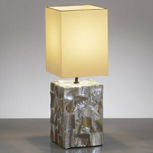 Ɩ LEDX^hCg tXgNvg40W`×1 Ή E17 vʔ R[hEԃXCb`t ERF2108X