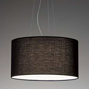 Ɩ LEDy_gCg |V[O^Cv M60W`×2 Ή E26 vʔ ERP7195BB