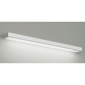 遠藤照明 LEDテクニカルブラケットライト 40Wタイプ 超エコノミー 1600lmタイプ FLR40W器具相当 非調光 ERB6159W+RAD-525WB