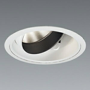 �����Ɩ� LED���j�o�[�T���_�E�����C�g D300�^�C�v CDM-T70W���� ��������125mm ���p�z�� �������� ERD5934W+FX-387NA