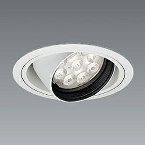 �����Ɩ� LED���j�o�[�T���_�E�����C�g 900TYPE 12V��50�ȓd�̓_�C�N���n���Q����75W�`50W���� ��������100mm ���L�p�z�� �񒲌� ERD7309W+RX-361NA