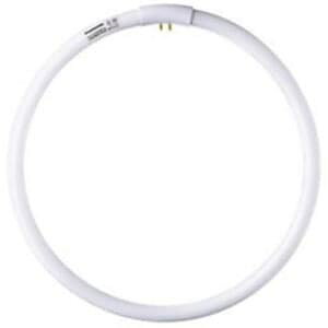 pi\jbN g_p`u sXpbN v~Aut ی` 34` N[F FHC34ECW/2F3