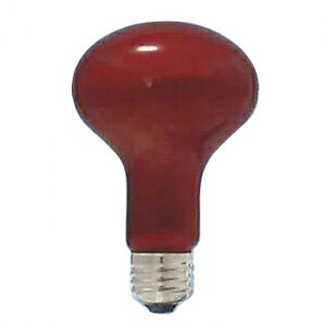 ATq yP[X̔ 10Zbgz ϔMJ[(ʃtXg^Cv) R80 110V60W :E26 bhtXg R80E26110V-60W(RT)_set