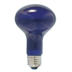 ATq yP[X̔ 10Zbgz ϔMJ[(ʃtXg^Cv) R80 110V60W :E26 u[tXg R80E26110V-60W(BT)_set