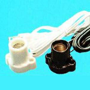 ATq E17Zbv  R[h:1.5m 016478_asahi