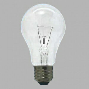 �A�T�q �ϐk�d�� PS60 110V100W �S����:1100lm ����:E26 �t���X�g �^�C�V��PS60E26110V-100W(F)