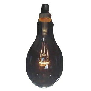 ATq yi 50Zbgz CeAd DP110 110V100W S:1580lm :E26 N[ DP110E26110V-100W_50set