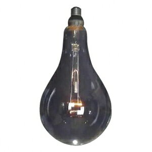 ATq CeAd PS165 110V100W S:1580lm :E26 N[ PS165E26110V-100W