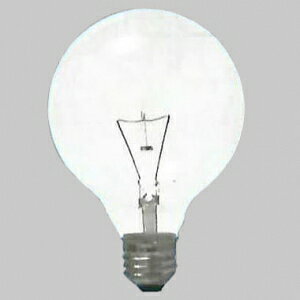 ATq yi 100Zbgz N[{[ G70 110V40W S:460lm :E26 N[ GC110V-40W/70_100set