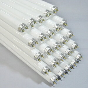 z^NX(NEC) yP[X̔ 25{Zbgz Ŕpu s߂Pt  O[X^[^` 40W FL40SKD.25_set