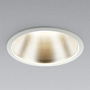 RCY~Ɩ LEDx[X_ECg hJ^ 1000lmNX M100W F 150mm Ɠxp35° t@CzCg AD43347L