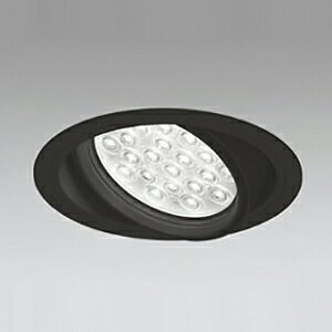 I[fbN LEDjo[T_ECg M` 150 HID100WNX LED24 zp20° 񒲌 {̐F:ubN F^Cv 5000K XD258804F