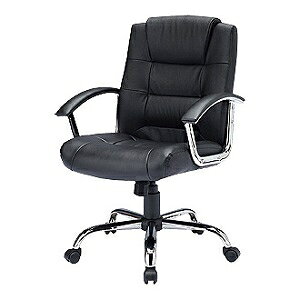�T�����T�v���C ���U�[�`�F�A �v���胍�[�o�b�N�`�F�A ���ʑω׏d��80kg �w�b�h���X�g�E�I���ĕt SNC-L10K