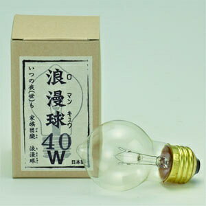 㓡Ɩ Q 40W ^󐻖@ E26 GLF-0262