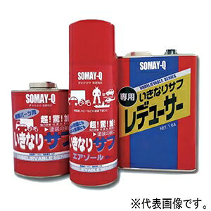 QeNmWB ȂTt t^ GA][^Cv e420ml CLiTtGA][420ml