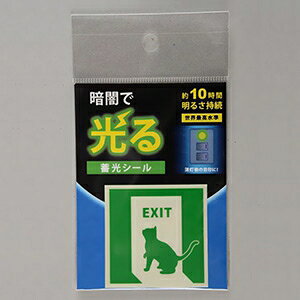 ԉ ~V[ sUWE˂t W^Cv -FLASH̗p 50×50mm AF2004