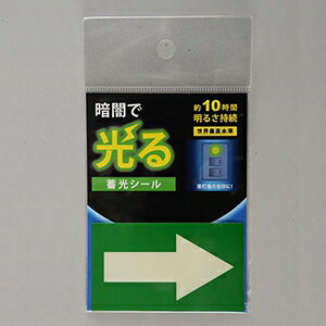 ԉ ~V[ st W^Cv -FLASH̗p 70×40mm AF2006