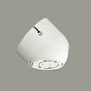 DAIKO XΓVptW R[h݂y_gp dCe500W܂ VX55°܂ zCg DP-32953