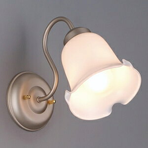 OH LEDR[fBl[guPbgCg dʔ E26 EL-VE2605C